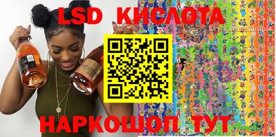 хмурый Сланцы