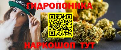 хмурый Сланцы