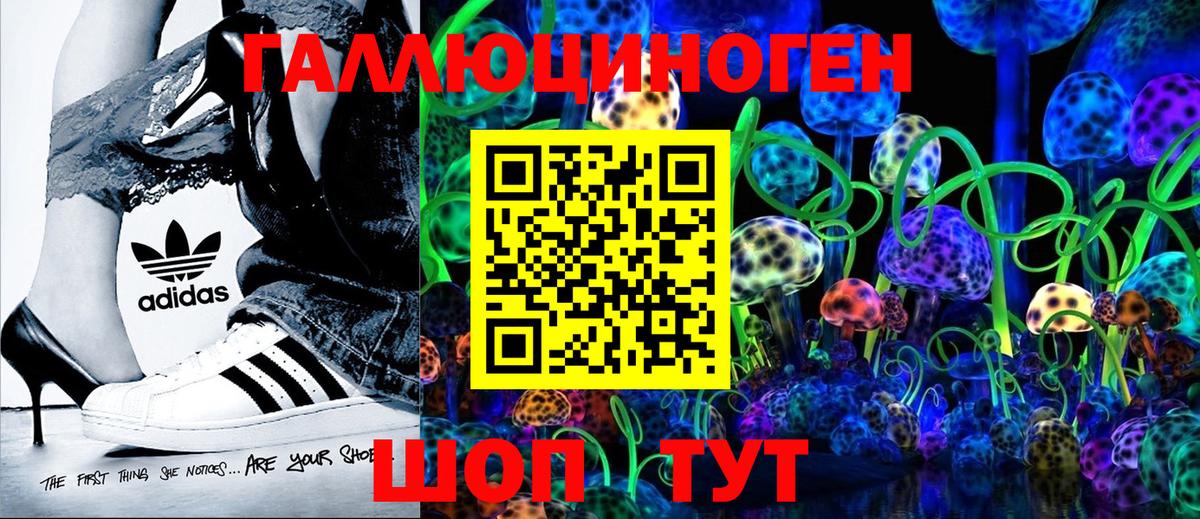 Псилоцибиновые грибы прущие грибы Осинники