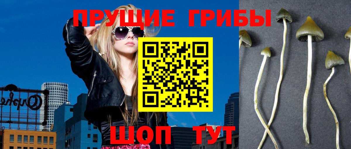Осинники  Галлюциногенные грибы ЛСД  Вход с VPN 