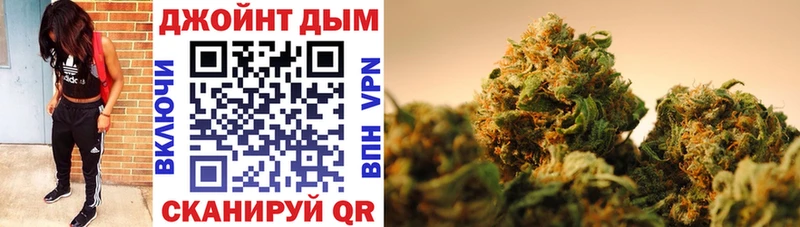 Конопля ГИДРОПОН  магазин продажи   Осинники 